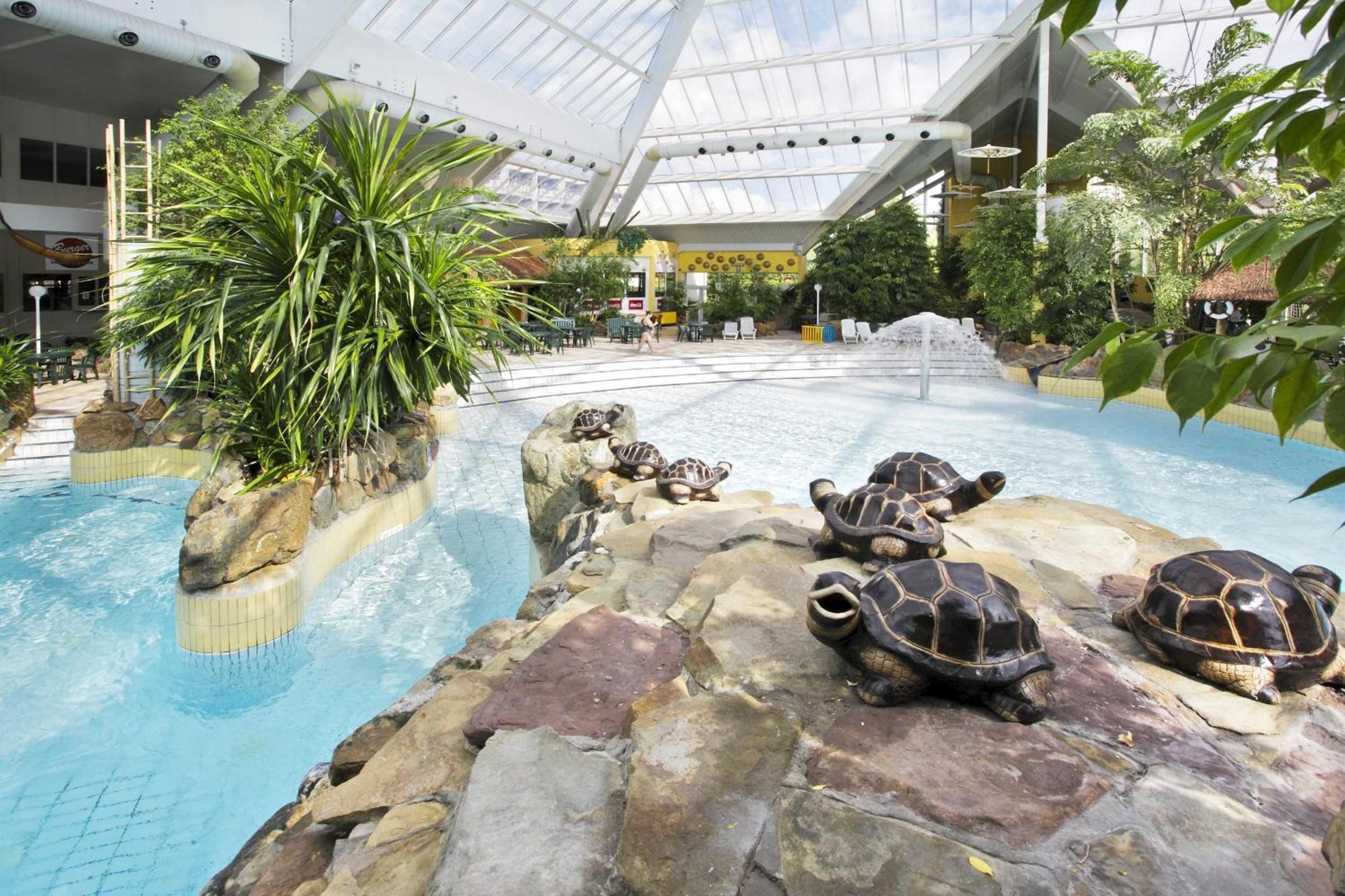 An indoor pool with a glass ceiling, surrounded by rocks and plants, and featuring several sea turtles.