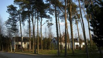 A rural setting with tall pine trees, a road, and two white houses with visible windows and doors.