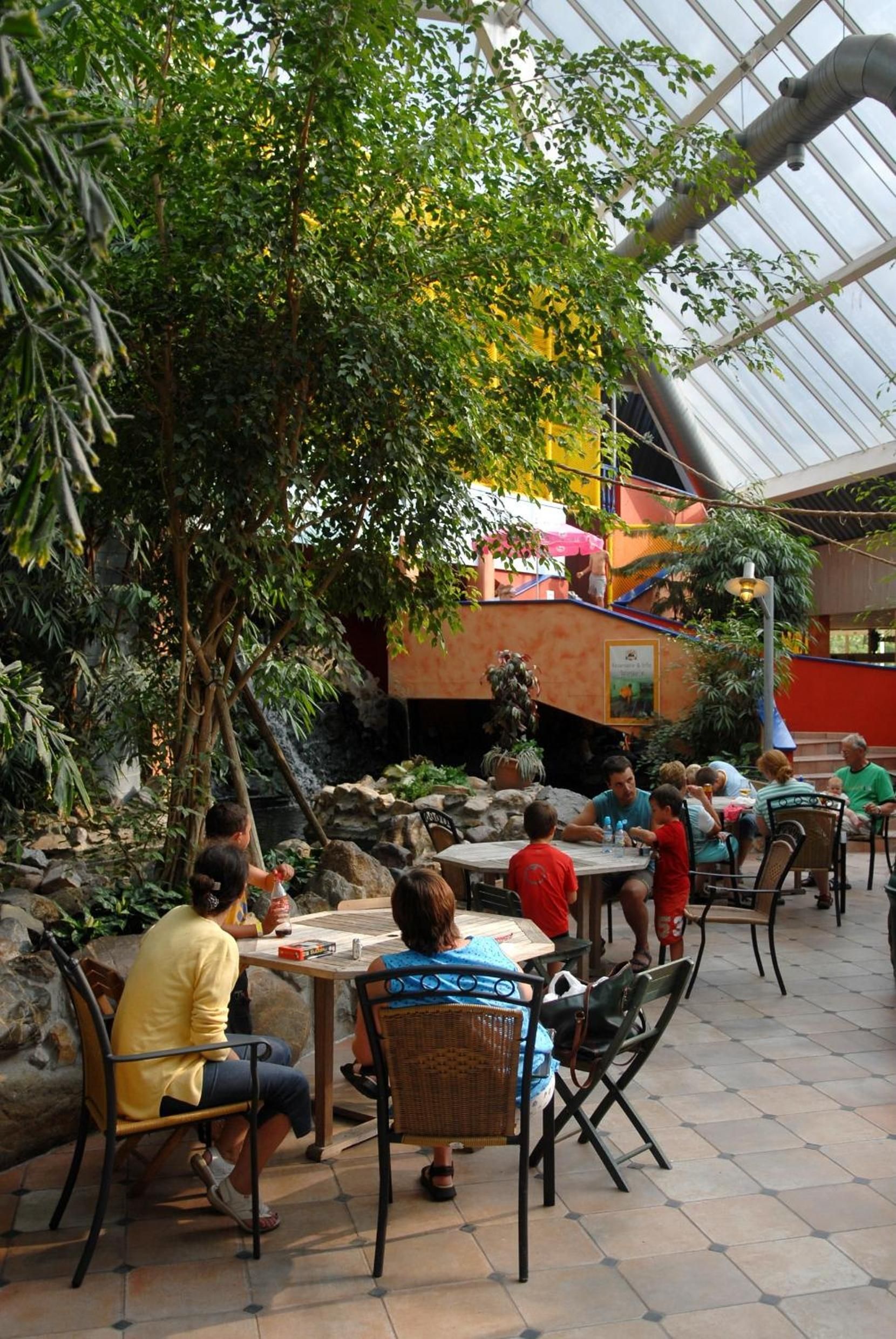 An indoor dining area with tables and chairs, surrounded by greenery and a water feature.