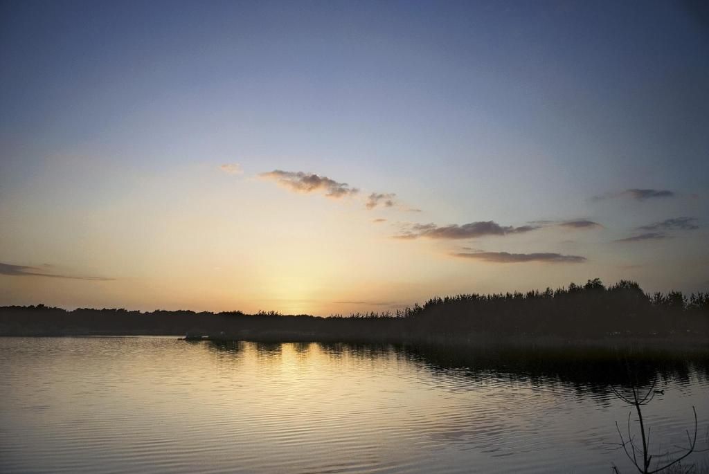 A calm lake at sunrise with a silhouette of trees in the background.