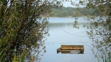 A calm lake with a wooden dock extending into the water, surrounded by dense foliage.
