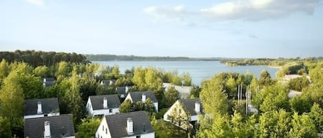 Un barrio residencial con casas rodeadas de árboles y un lago al fondo.