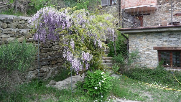 Une maison en pierre avec un balcon et un jardin où poussent des fleurs violettes.