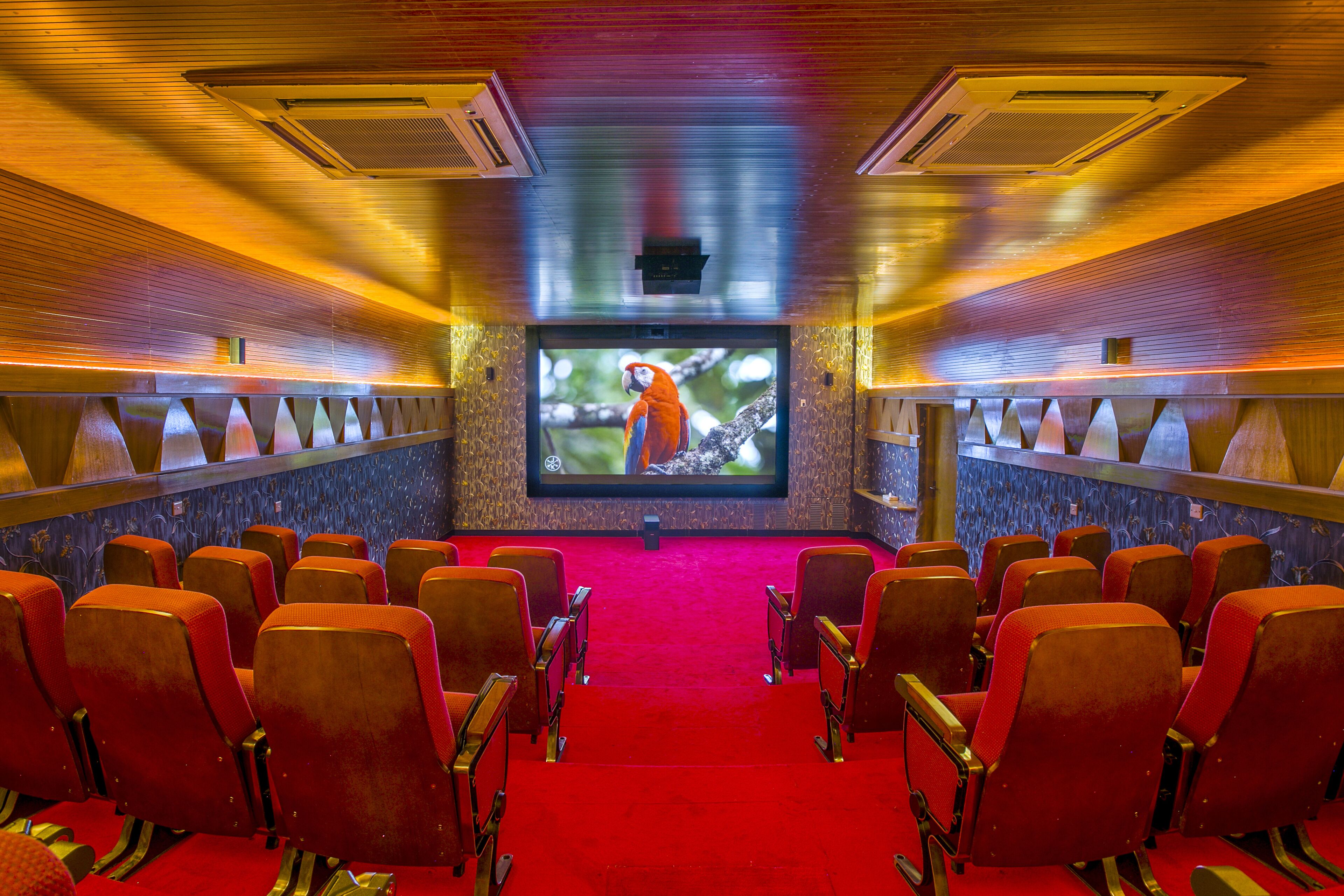 A cinema with red seats and a large screen displaying a parrot.
