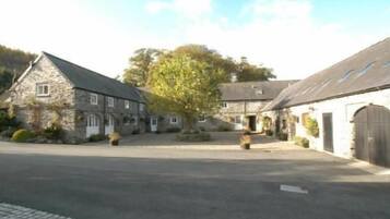 A stone building with a large tree in front, a paved driveway, and a clear sky.