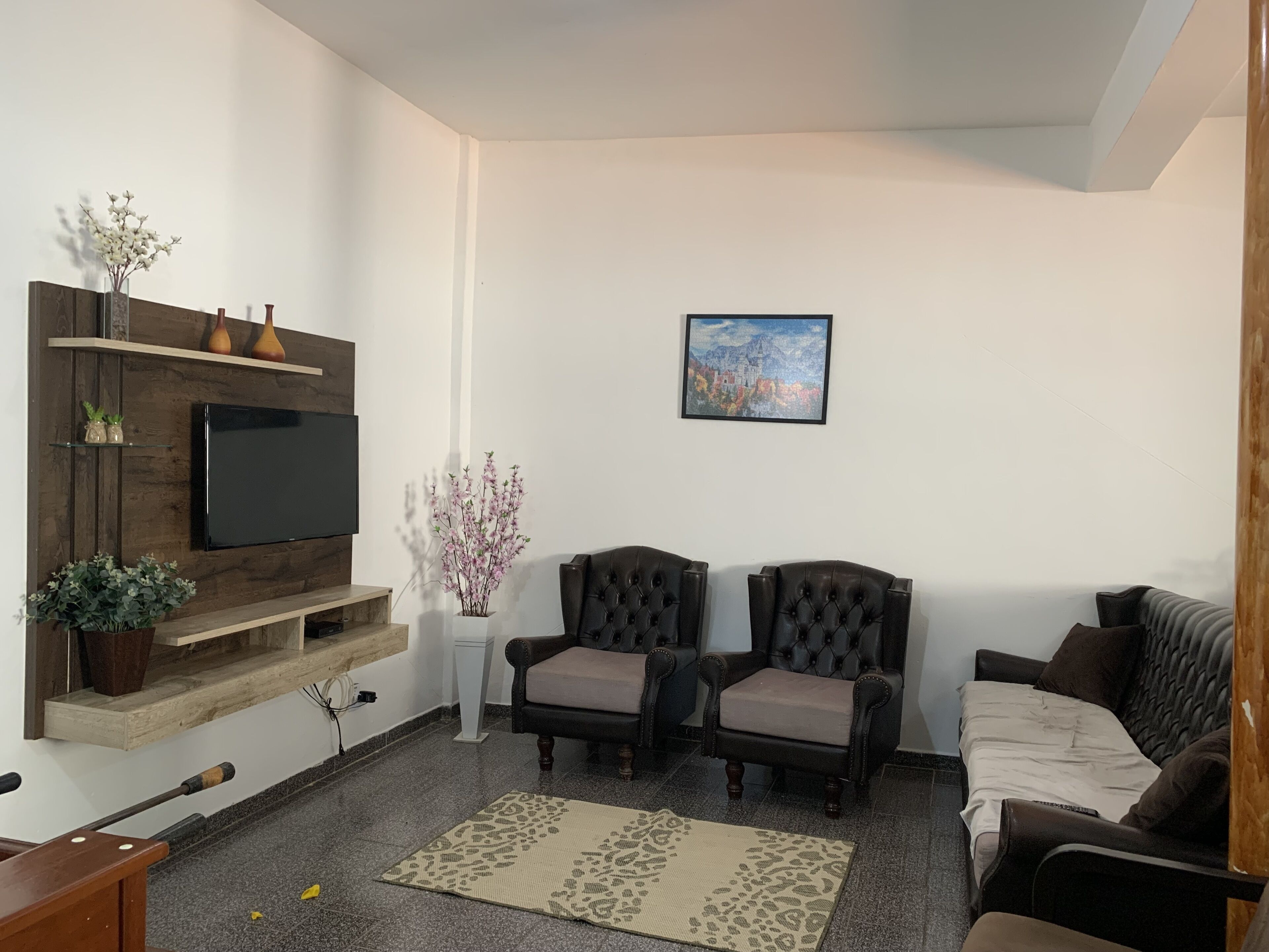 Un salon comprenant un téléviseur, deux fauteuils en cuir, un canapé, un meuble TV en bois et un tableau accroché au mur.