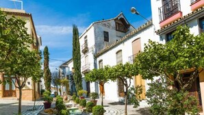 A narrow street lined with traditional buildings, a fountain, and potted plants. - Hotel Mare Estepona (Estepona)