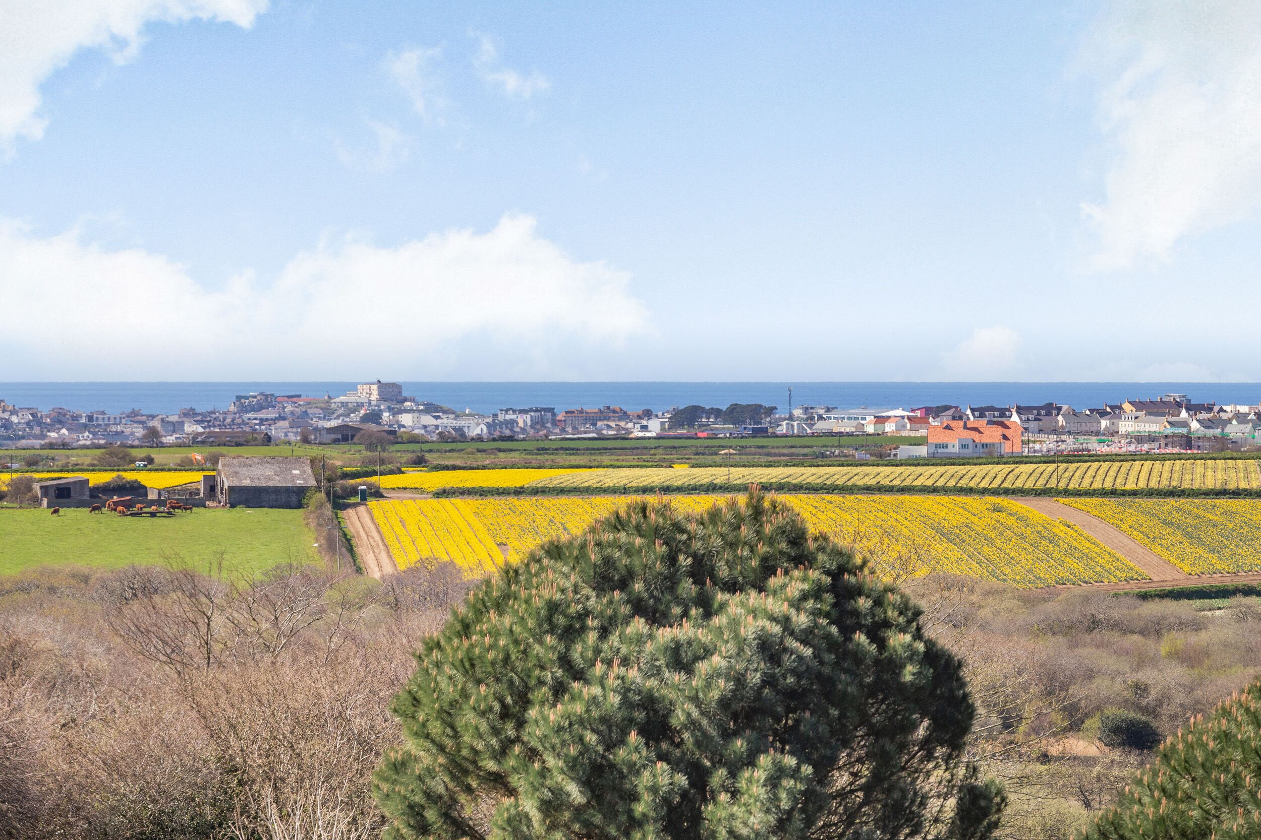 A rural landscape with fields, a distant town, and a prominent building.