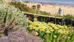 A beach with a stone pathway leading to the sea, surrounded by various plants and flowers.