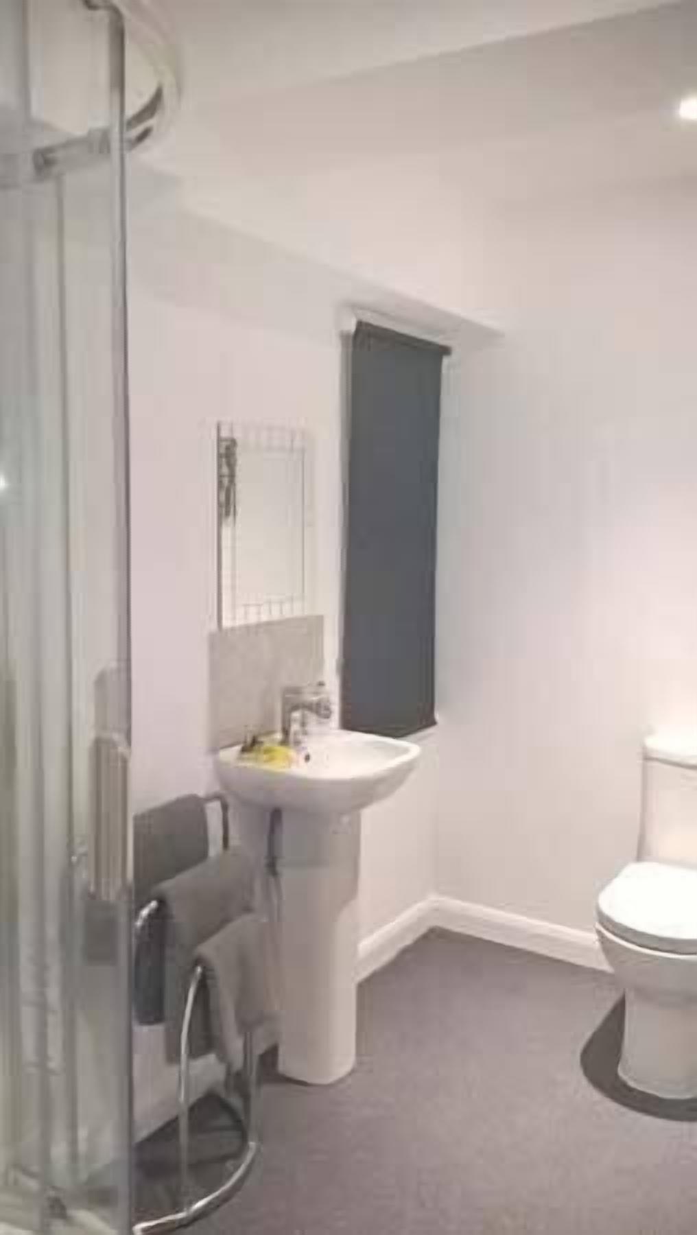A bathroom with a glass shower enclosure, a white sink, and a toilet.
