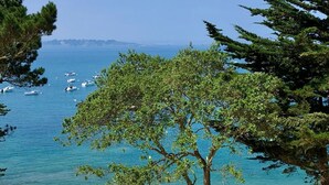 A beach with clear blue water, boats, and a tree in the foreground. - Le Nessay (Saint-Briac-sur-Mer)