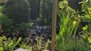 A garden with a small stream, various plants, and a wooden post. - Hotel De Vier Seizoenen (Renesse)