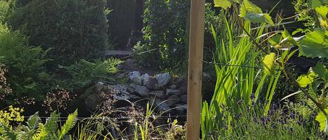 A garden with a small stream, various plants, and a wooden post.