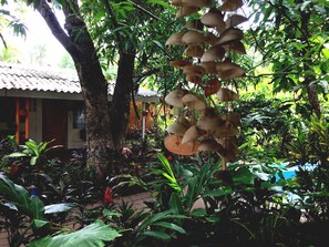 Property grounds - Trópico Mágico (La Libertad)