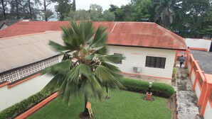 A building with a red roof, a palm tree in the center, and a small garden area. - The Town House (Ibadan)