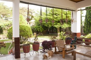 Une terrasse couverte agrémentée de jardinières suspendues, d’un banc et d’un chien reposant sur le sol.