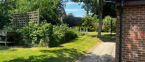 A pathway leading through a garden with a brick wall on one side and a wooden fence on the other.