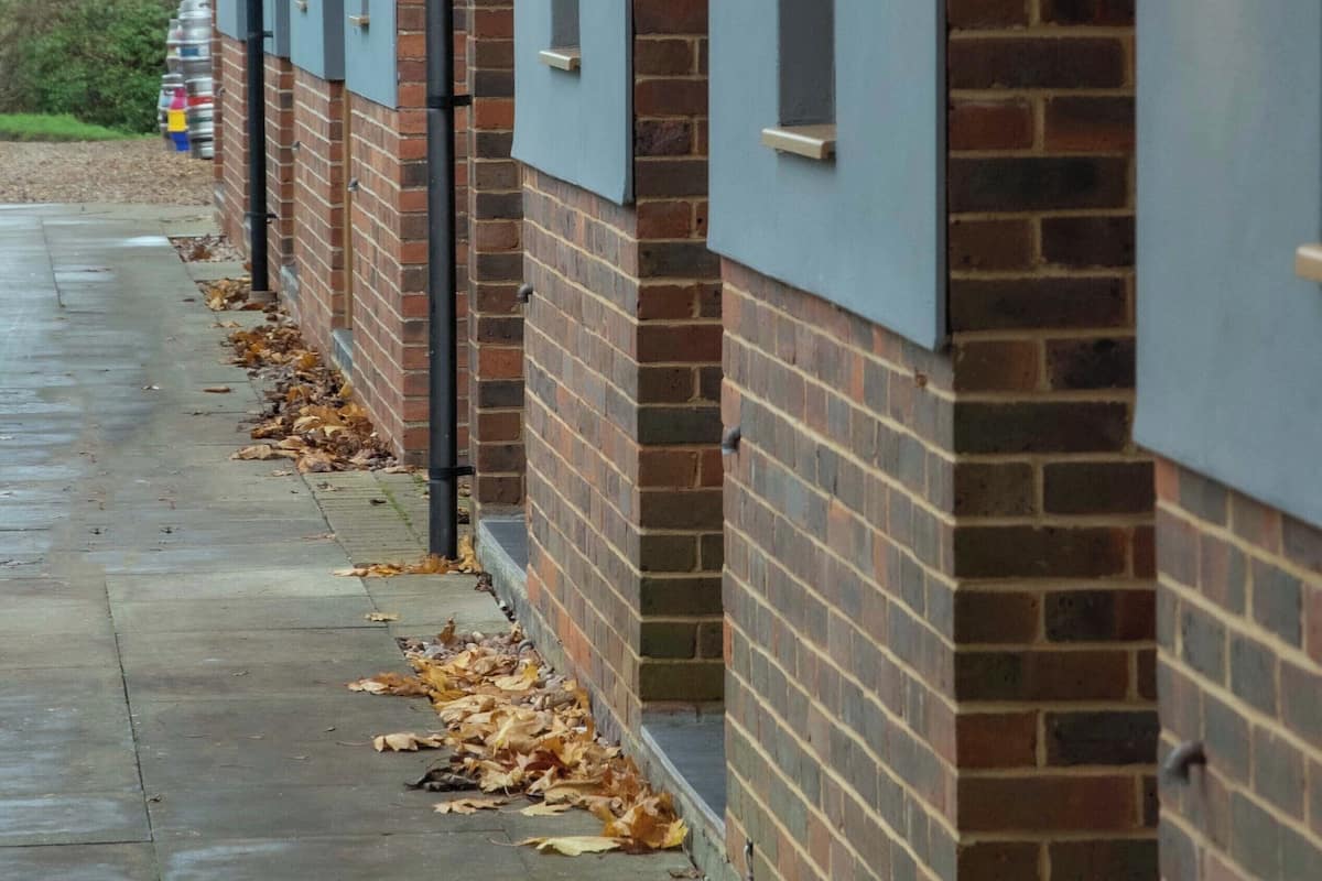Une rangée de bâtiments en briques, avec un chemin en béton et des feuilles mortes par terre.