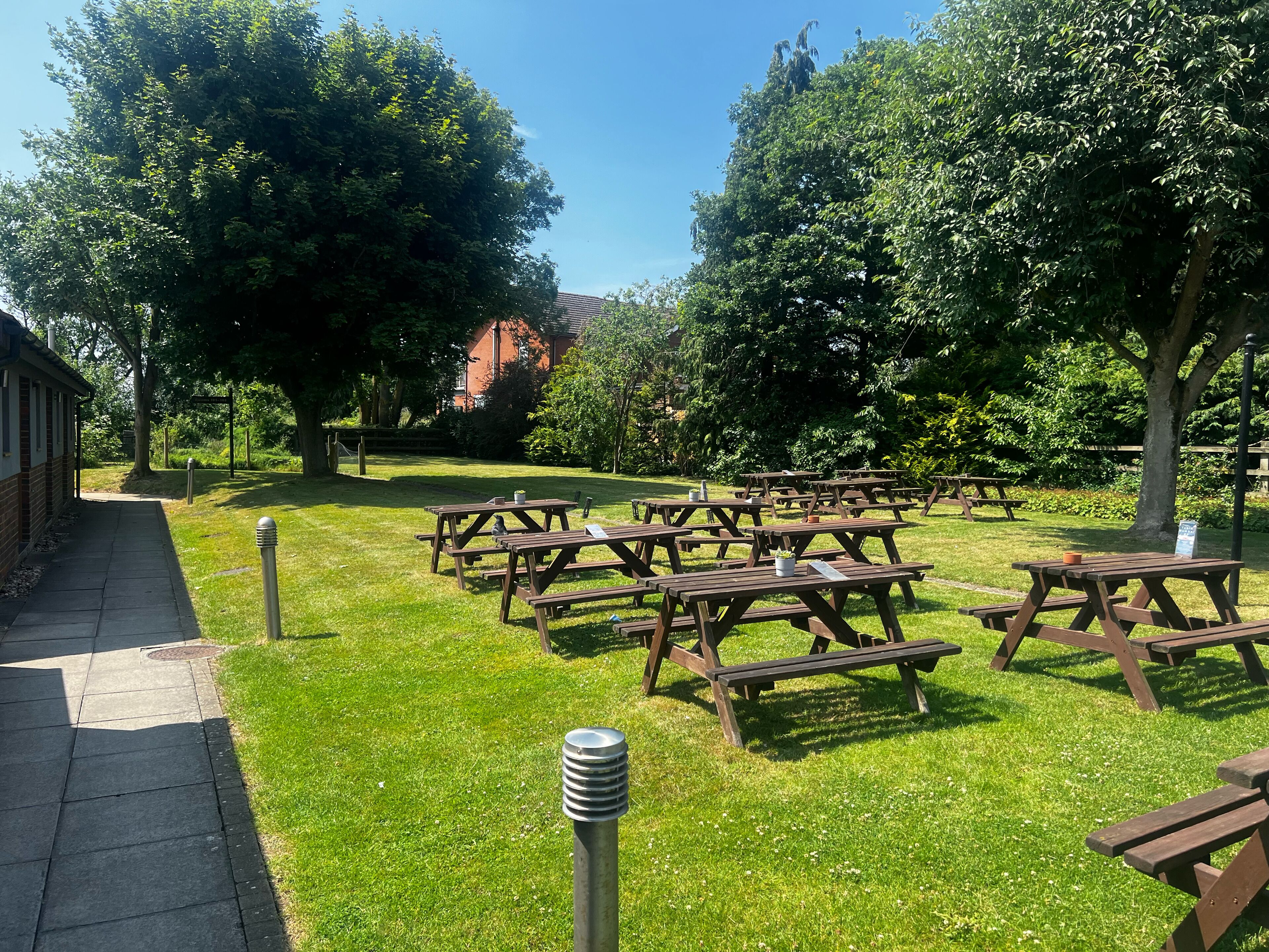 An outdoor area with picnic tables arranged on a grassy lawn, surrounded by trees and a building in the background.