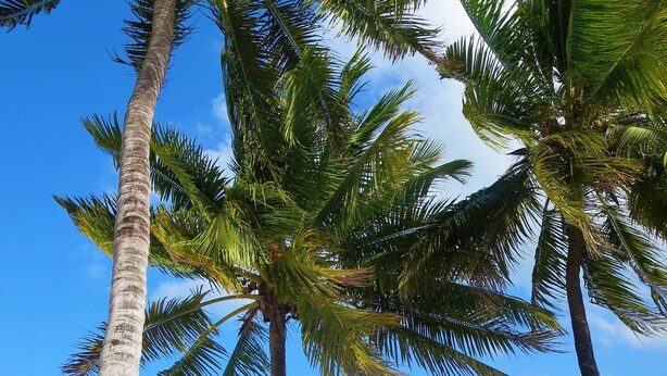 On the beach - Santa Maria Coral Park (Pongwe)