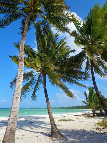 Santa Maria Coral Park