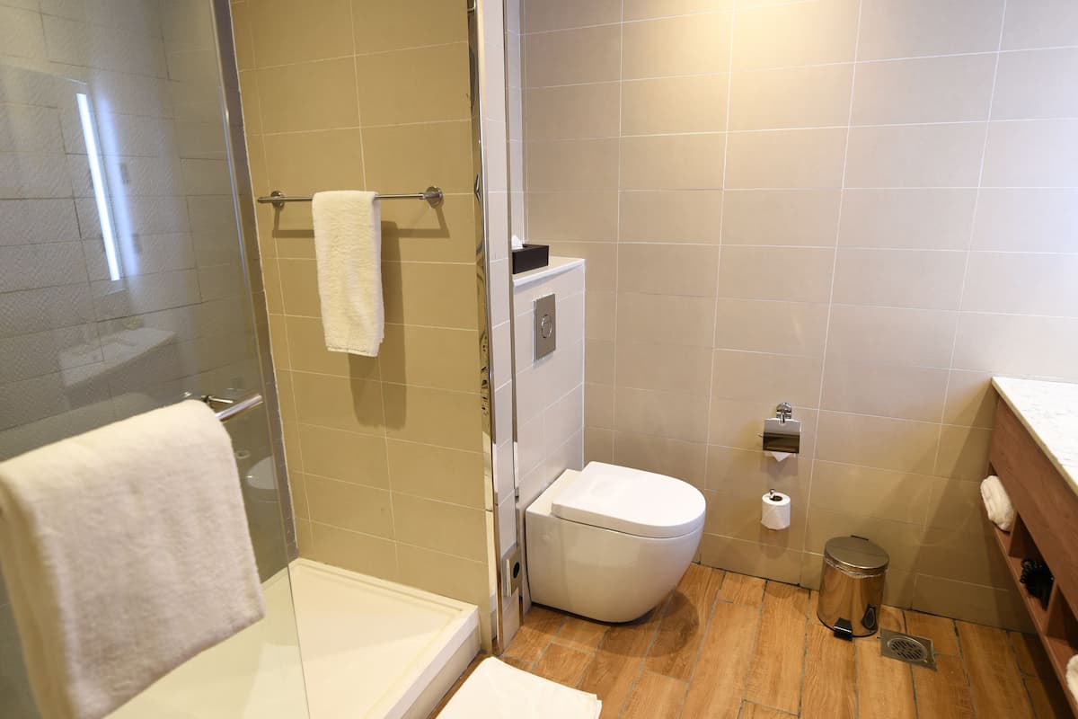 rainfall showerhead, free toiletries, hair dryer, bathrobes