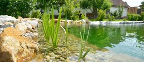 Lago