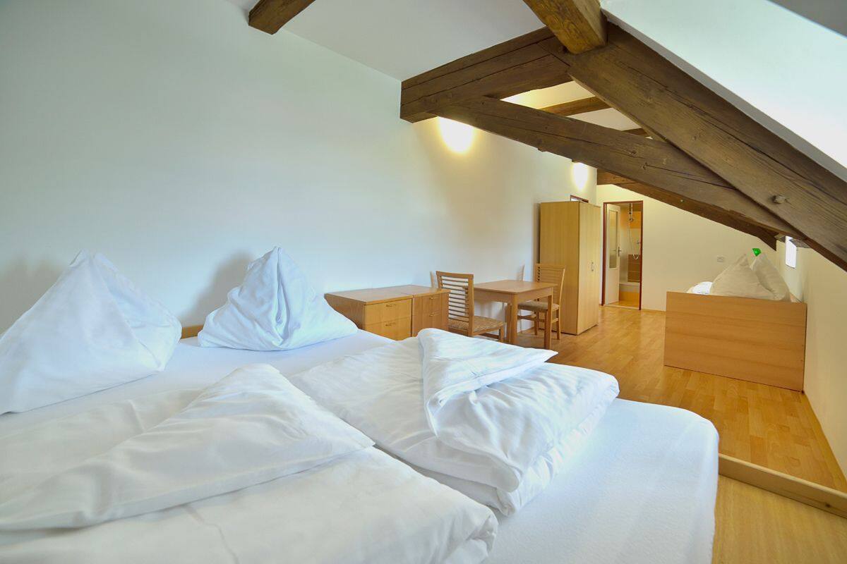 Basic Triple Room | Desk, WiFi (free)