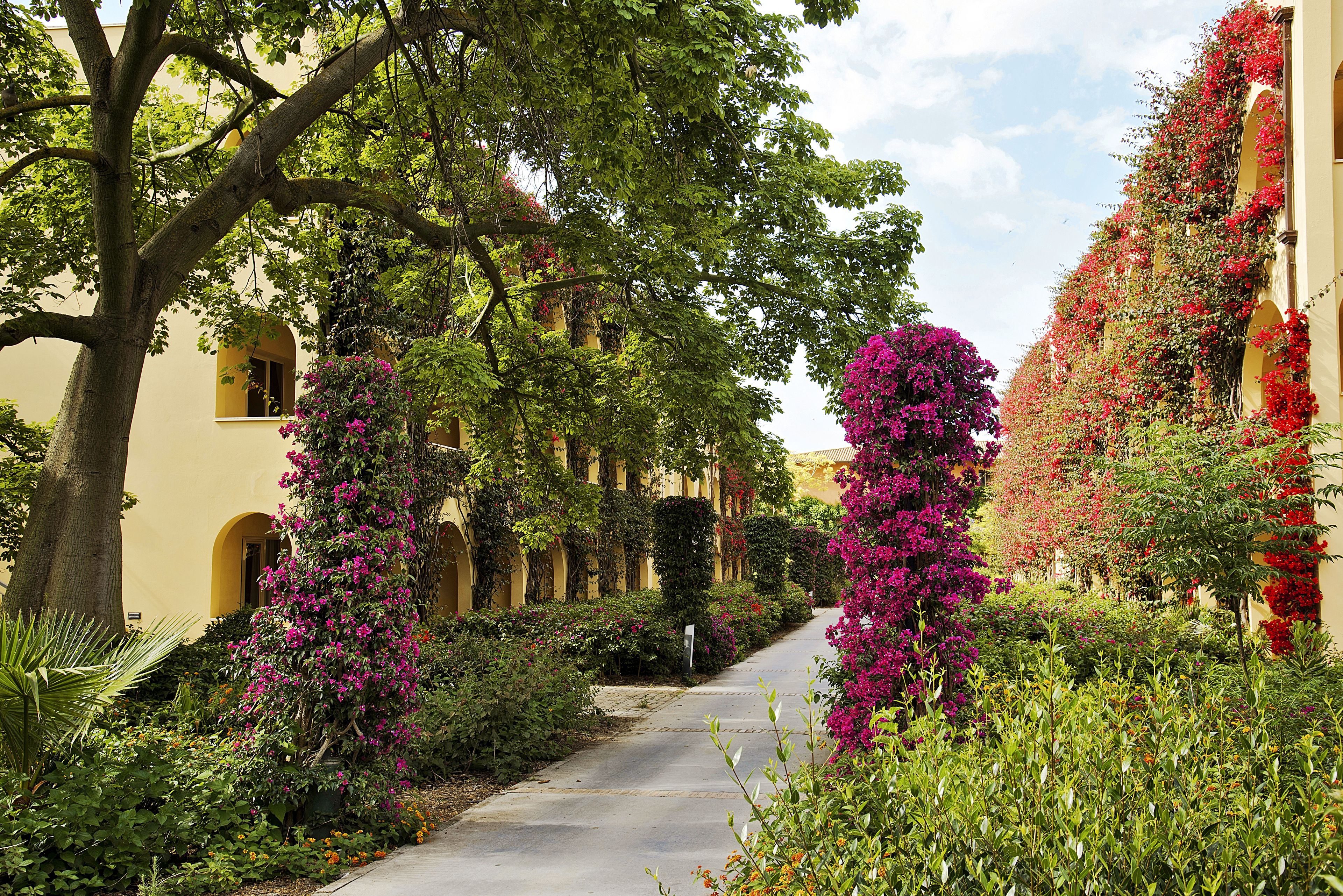 Photo - TUI MAGIC LIFE Calabria - All Inclusive