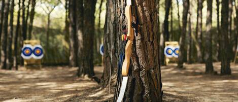 A forest with trees and a bow leaning against one.