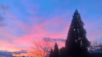 A residential area with houses and trees during sunset.