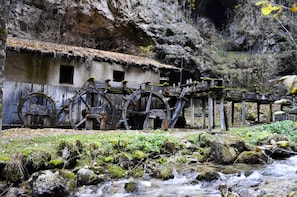 Exterior - Piccolo Orso Bruno (Cavareno)