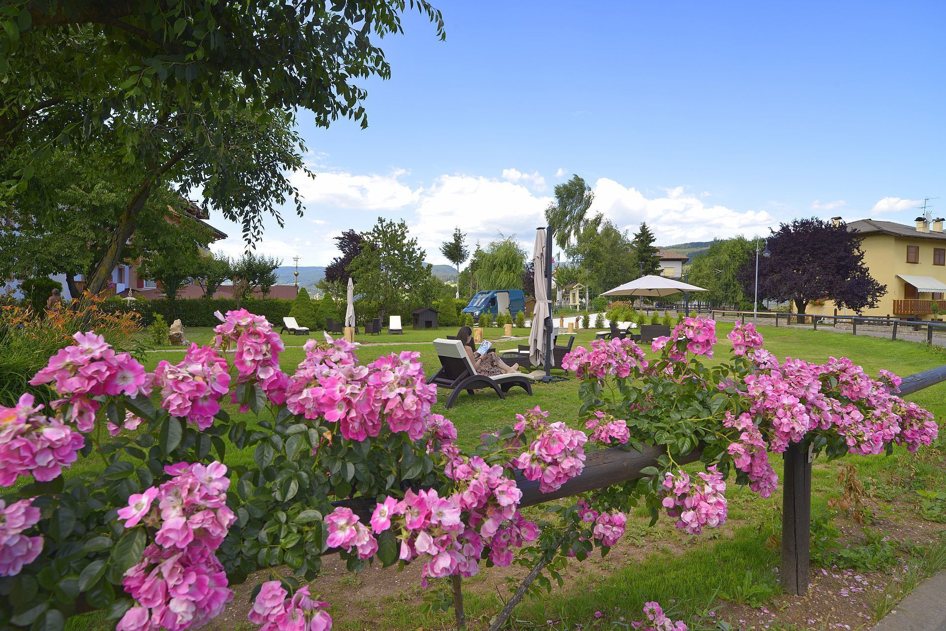 Detalle del exterior