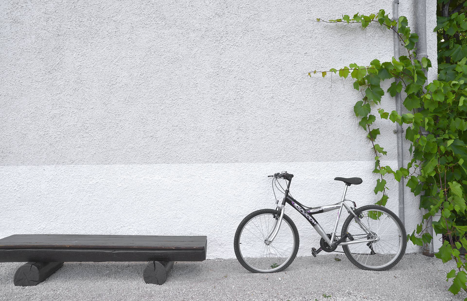 A bicycle parked next to a bench against a white wall with green vines.