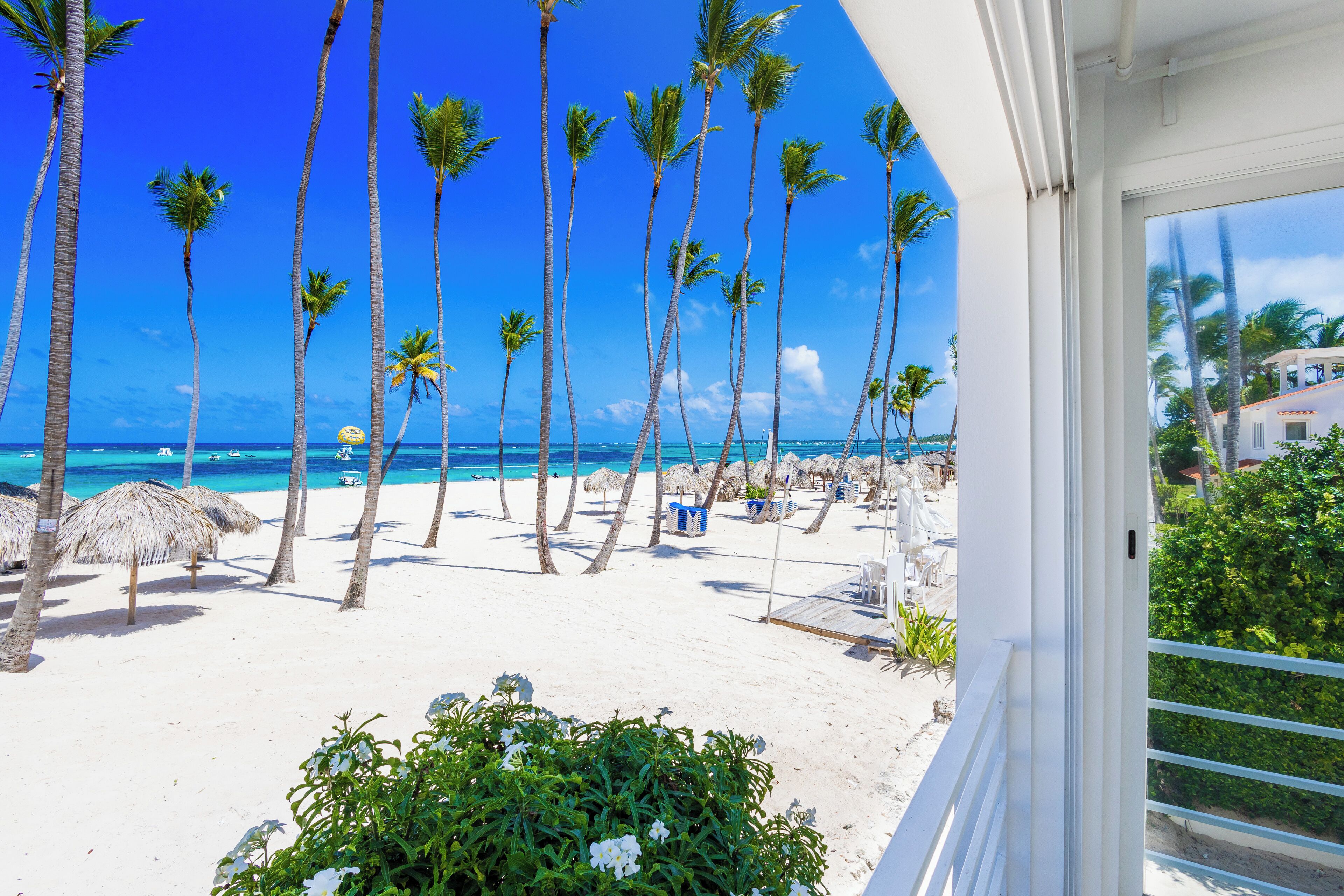 A beach with palm trees and a clear blue sky.