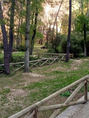 Hiking - Casa Pinos (Siles)