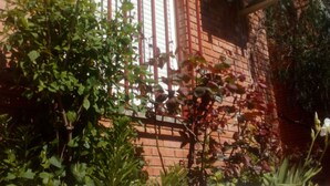 Front of property - Casa Pinos (Siles)
