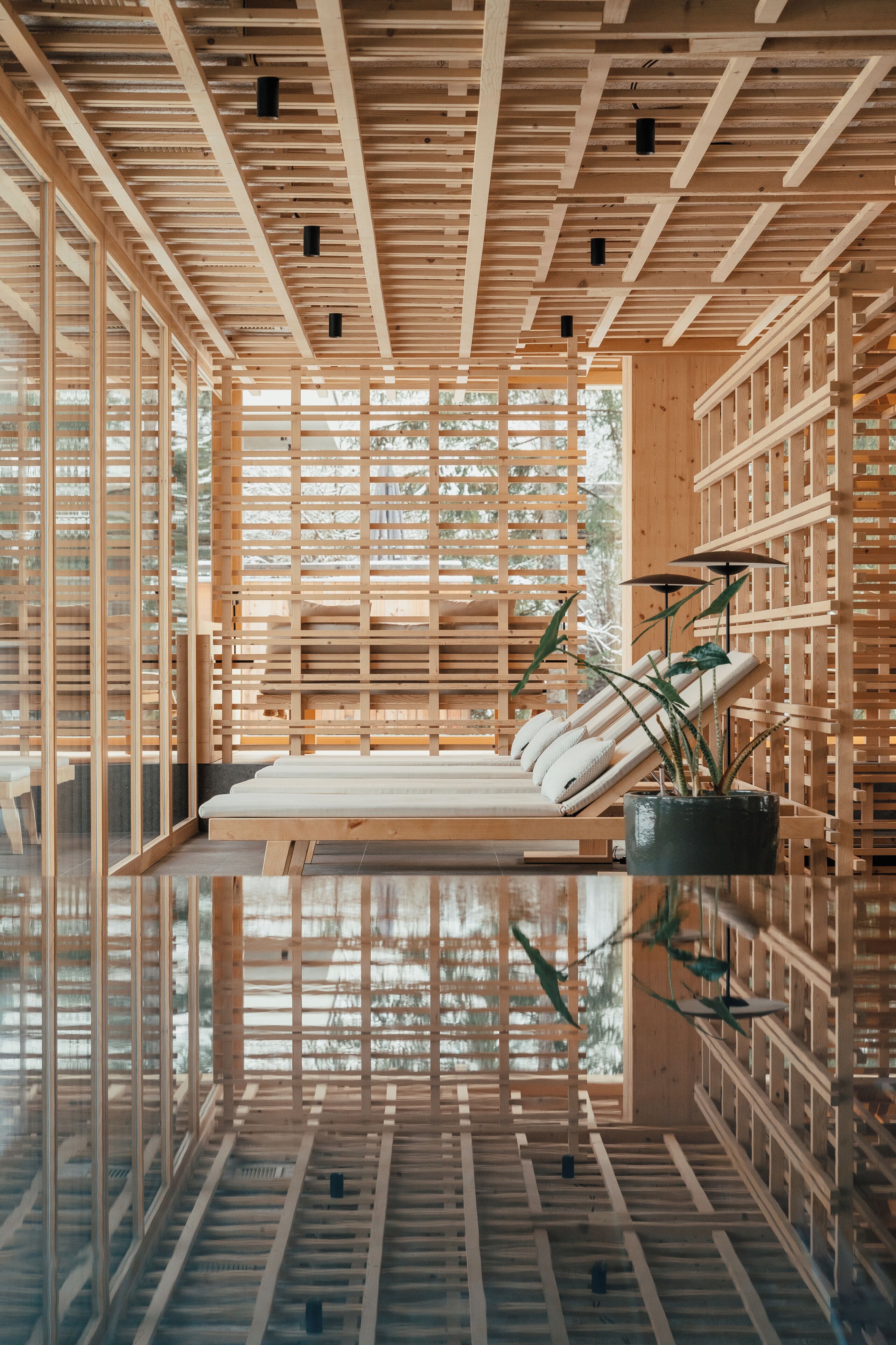 Piscina de natación o entrenamiento