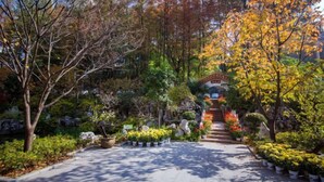 A garden pathway with various plants and trees, leading to a building with a sign.