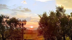 Une vue sur le coucher de soleil, avec une clôture, des arbres et un lampadaire.