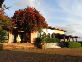 Un edificio de dos pisos con un porche cubierto y un gran árbol con flores rojas.