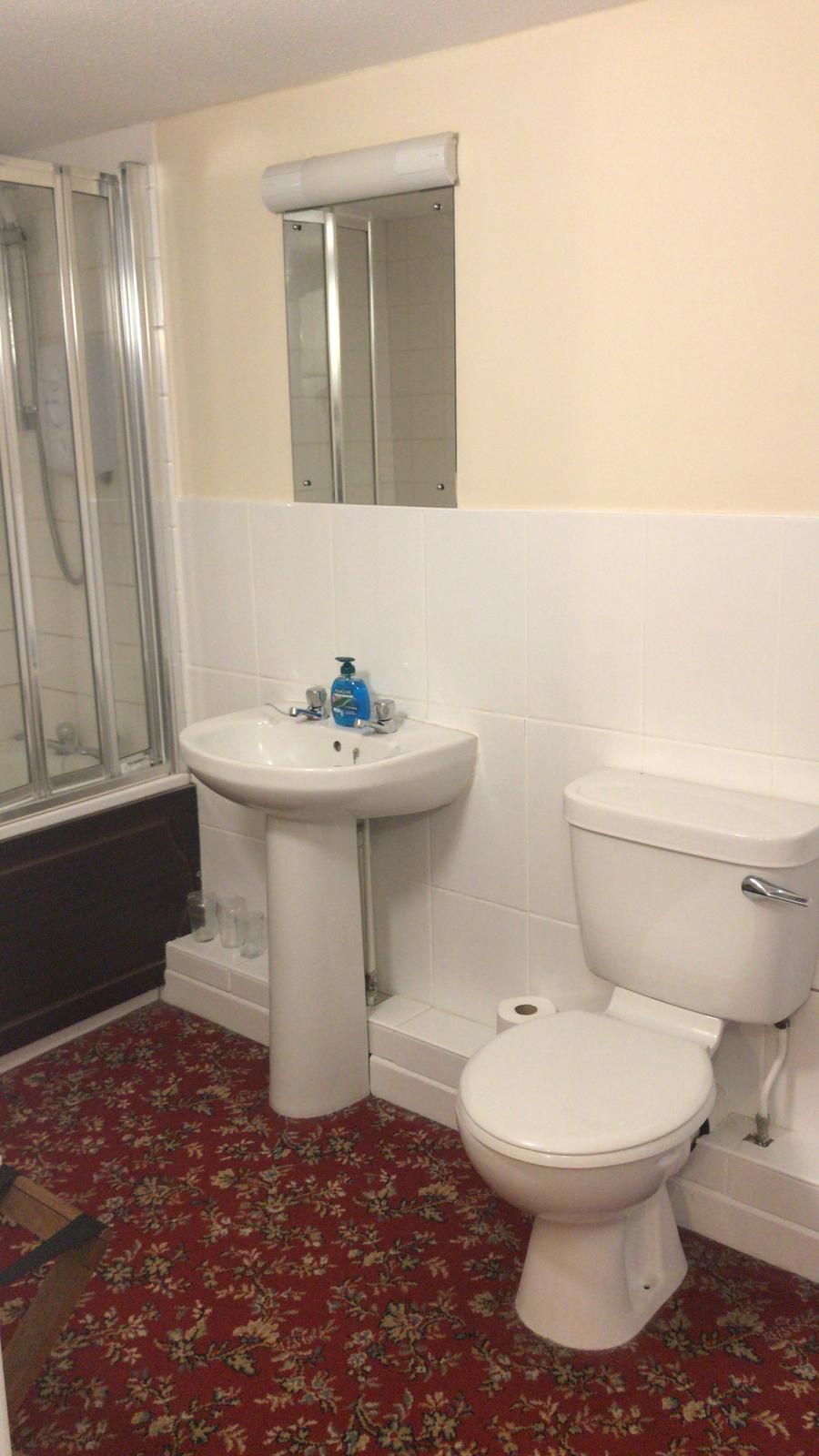 A bathroom with a shower, sink, toilet, and a mirror above the sink.