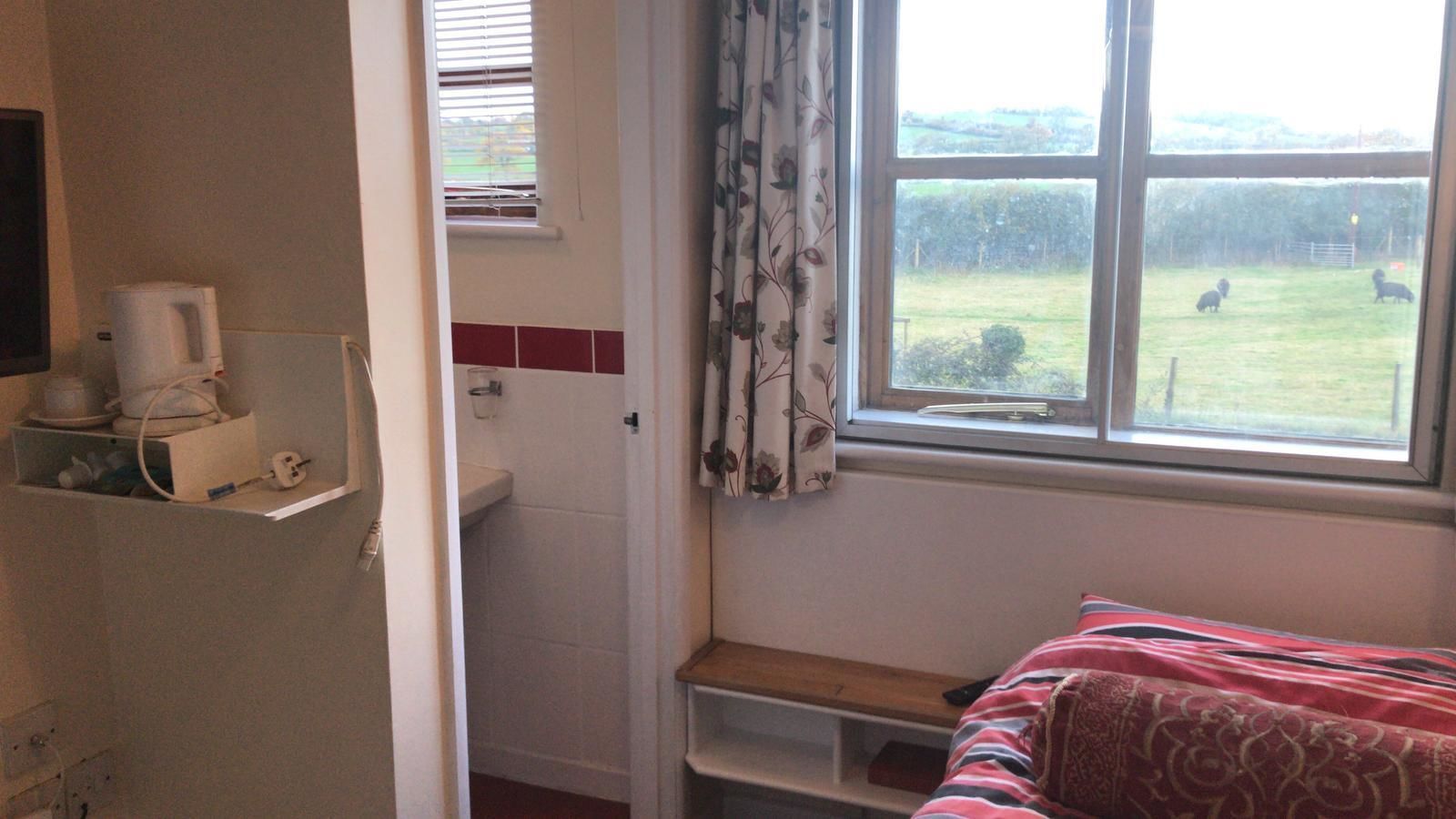 A bedroom with a bed, a window with a view of a grassy field and two dogs, a bedside table, and a shelf with a kettle and cups.