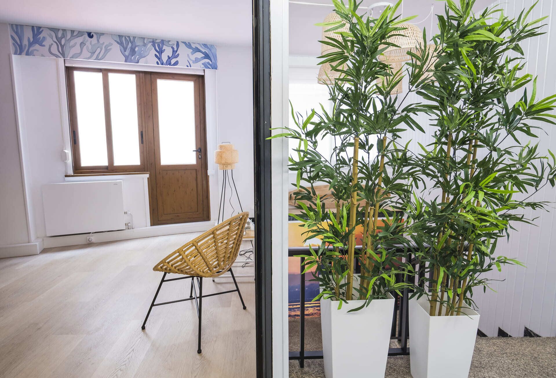 الإطلالة من المنشأة