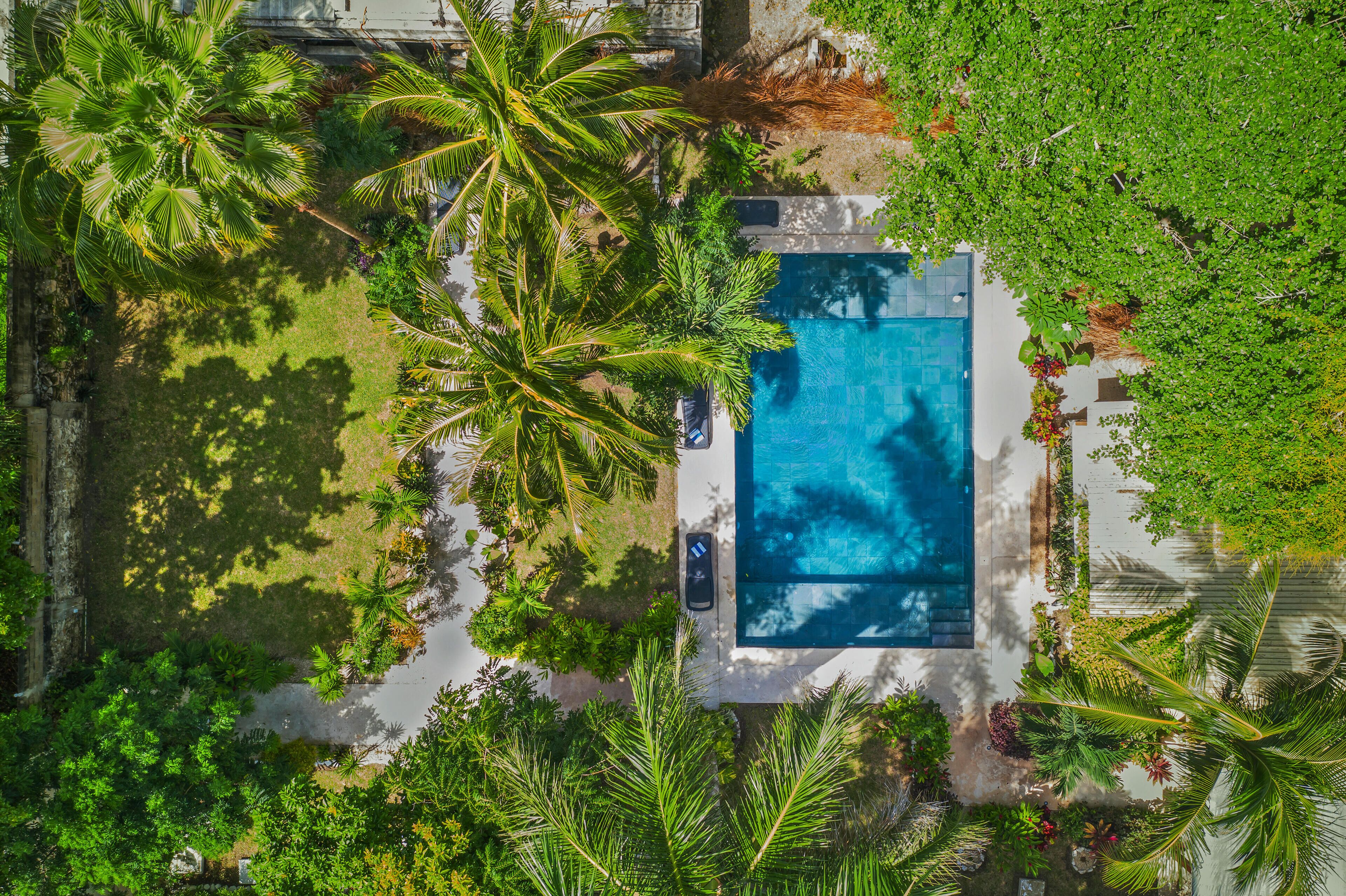 An aerial view of a swimming pool surrounded by lush greenery and palm trees.