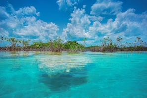 Point of interest - Tierra Maya Hotel Spa & Sanctuary (Bacalar)