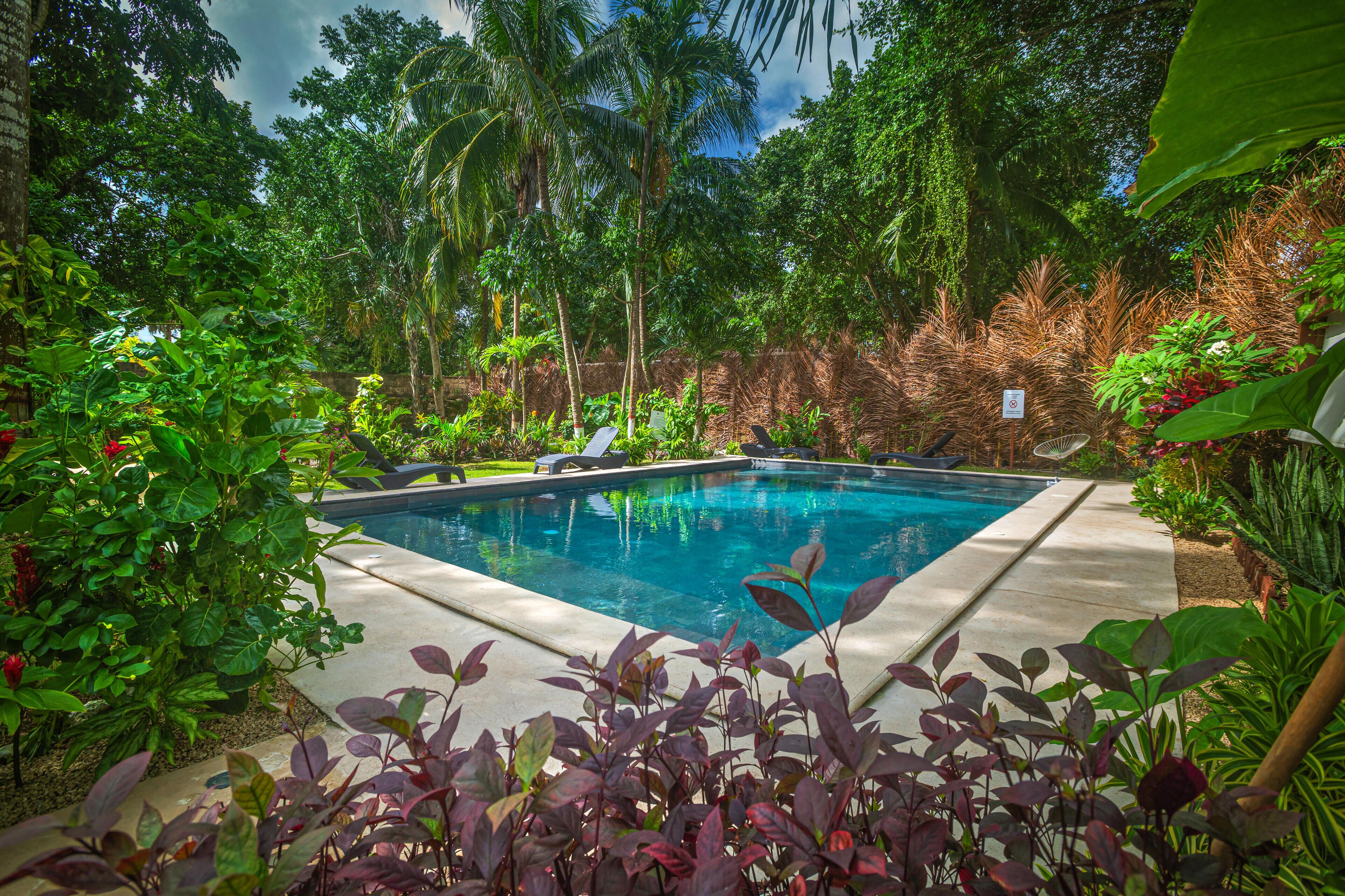 Una piscina circondata da vegetazione rigogliosa e palme.