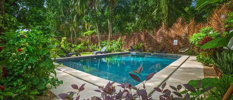 Una piscina circondata da vegetazione rigogliosa e palme.