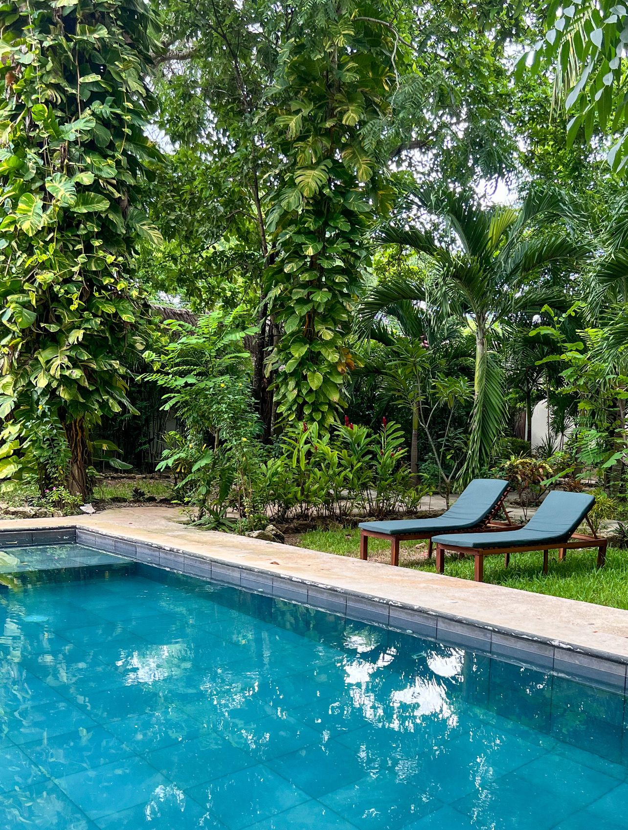 A clear blue pool surrounded by lush greenery and two lounge chairs.