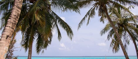 Yoga sur la plage